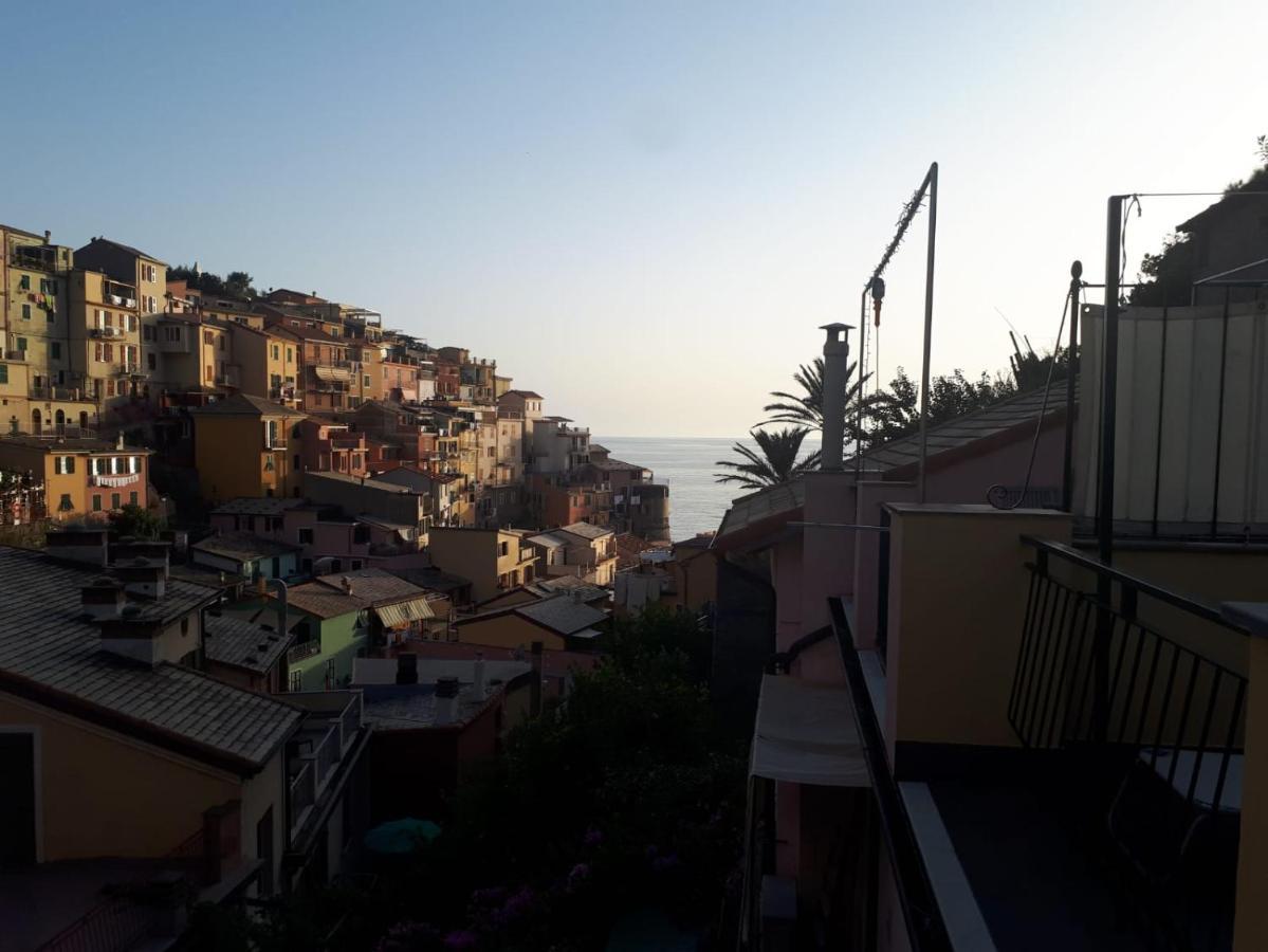 Il Cavalluccio Marino Manarola Ngoại thất bức ảnh